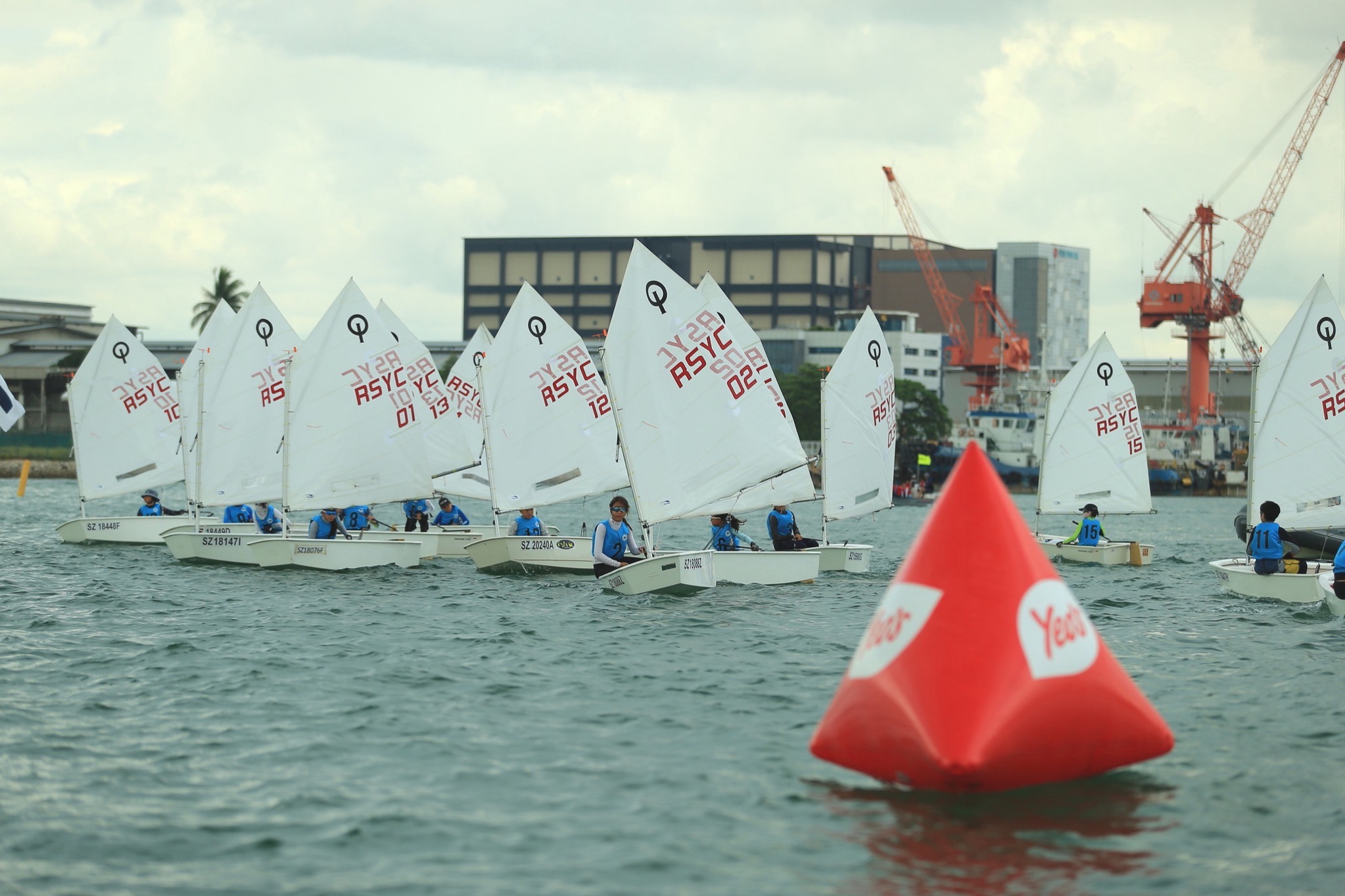 RSYC optimist knockout race